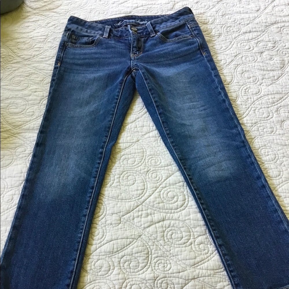 American Eagle Artist Crop Jeans